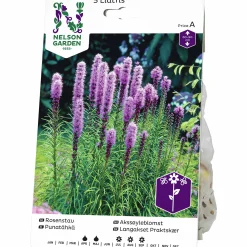 Vårlök Rosenstav Liatris Spicata Lila>Nelson Garden Online