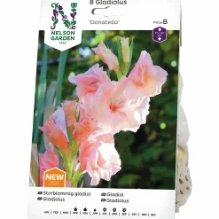 Vårlök Storblommig gladiol 'Donatella'>Nelson Garden Best
