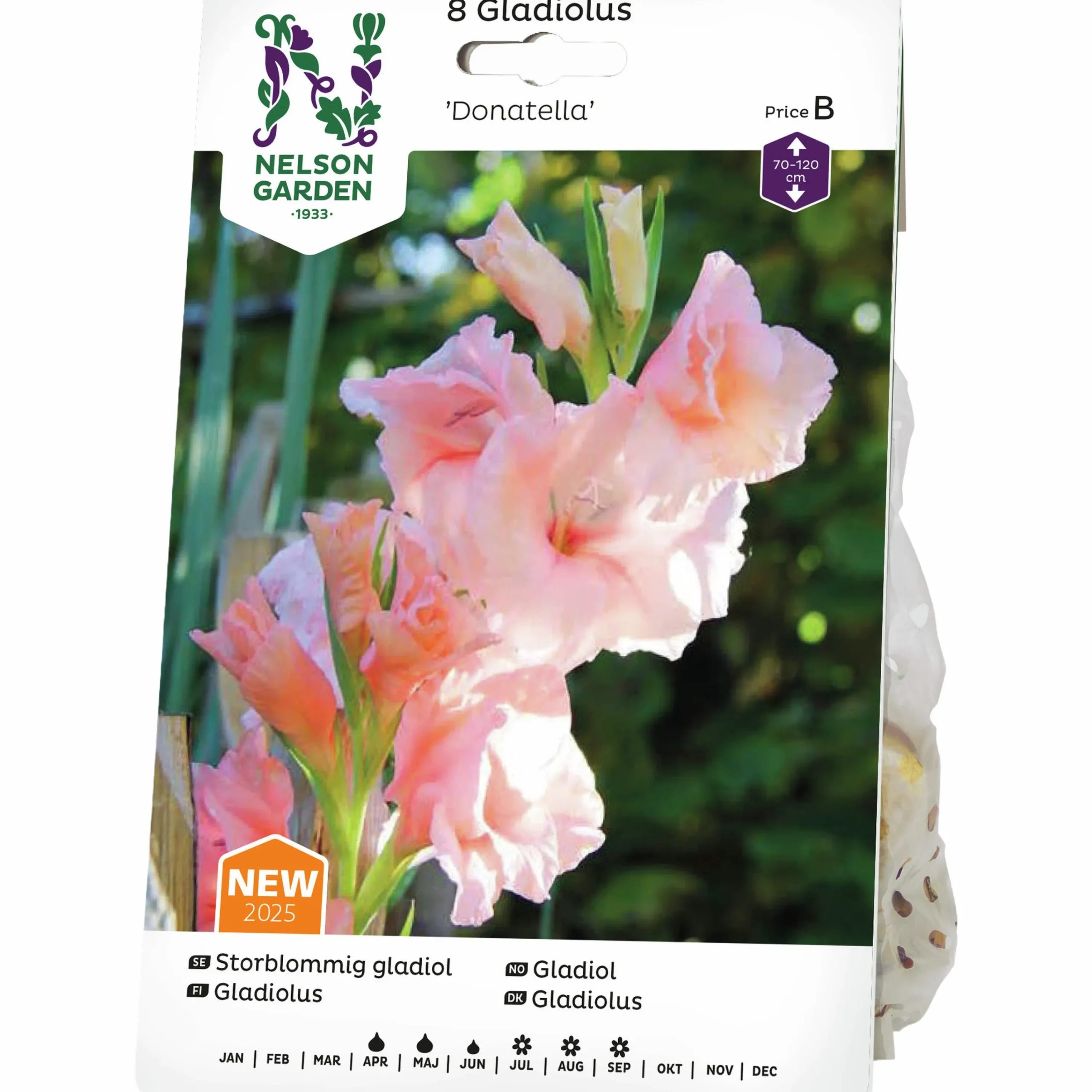Vårlök Storblommig gladiol 'Donatella'>Nelson Garden Best