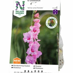 Vårlök Storblommig Gladiolus Wine & Roses Rosa>Nelson Garden Clearance