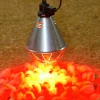 Värmearmatur max 175W E27 Ø210mm>Kerbl Sale