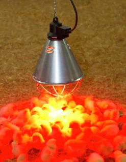 Värmearmatur max 175W E27 Ø210mm>Kerbl Sale