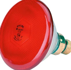 Värmelampa PAR38 E27 infraröd lågenergi 100W>Philips Online