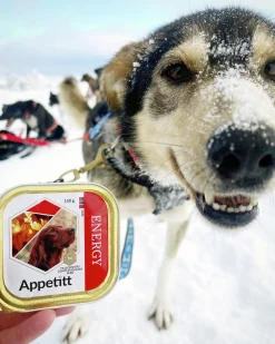 Våtfoder Energy 150g>Appetitt Clearance