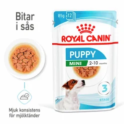 Våtfoder Mini Puppy 12x85g>Royal Canin