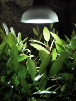 Växbelysning LED Lampa E27 18W>Nelson Garden Clearance