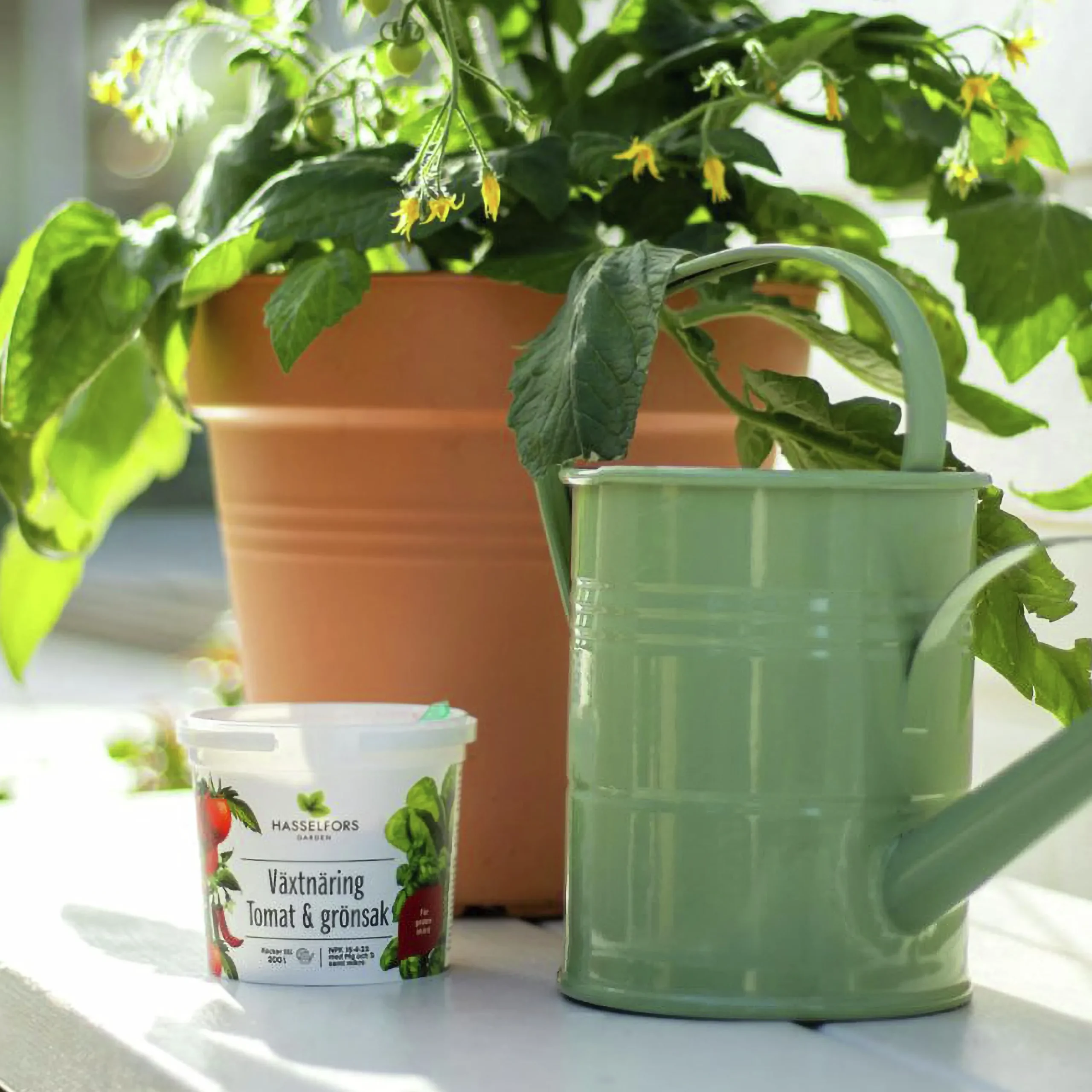 Växtnäring Hasselfors Tomat & Grönsak 200g>Hasselfors Garden Best