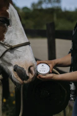 Zinksalva 150ml>Fair Horse Care Discount