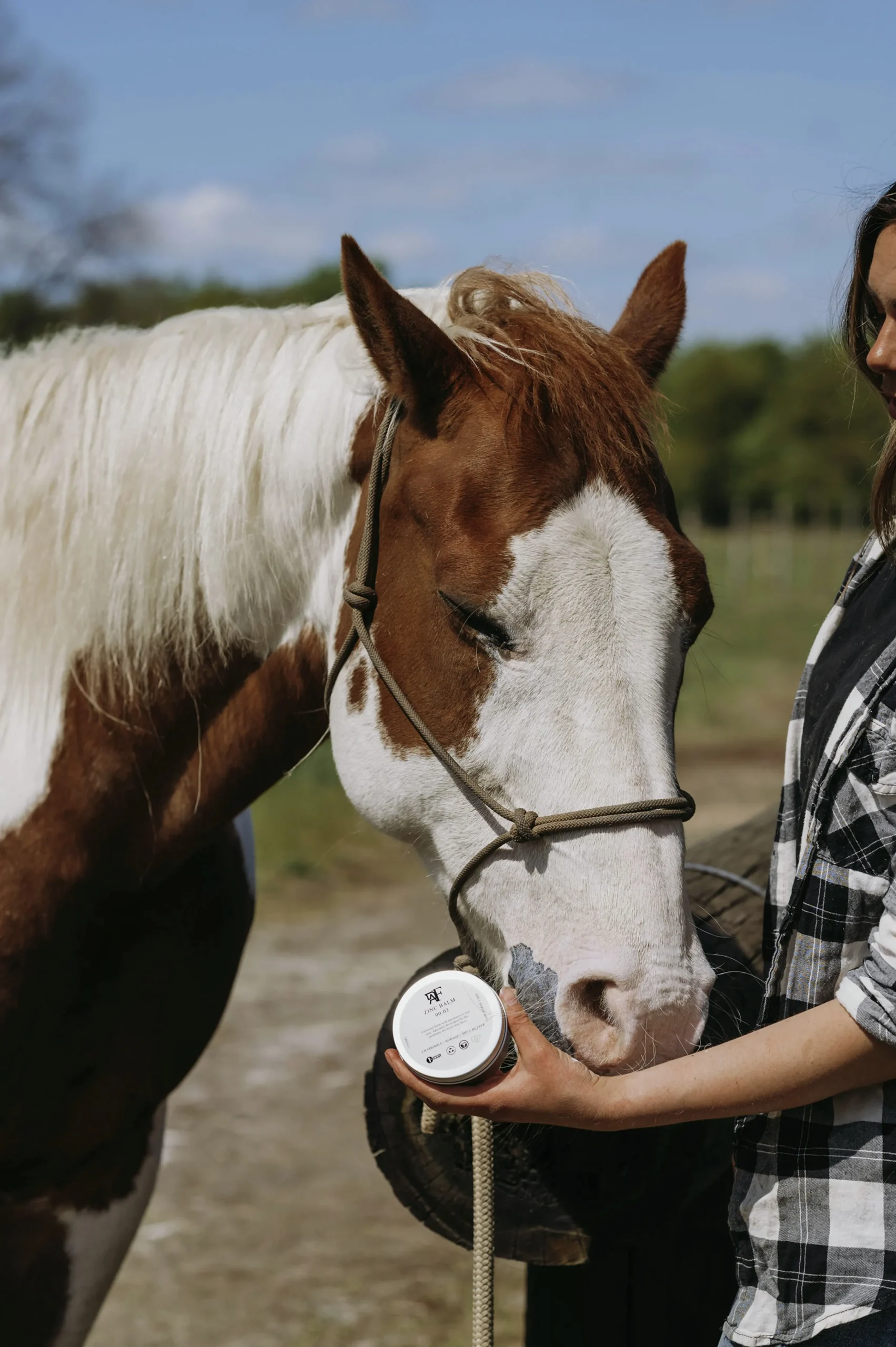 Zinksalva 150ml>Fair Horse Care Discount
