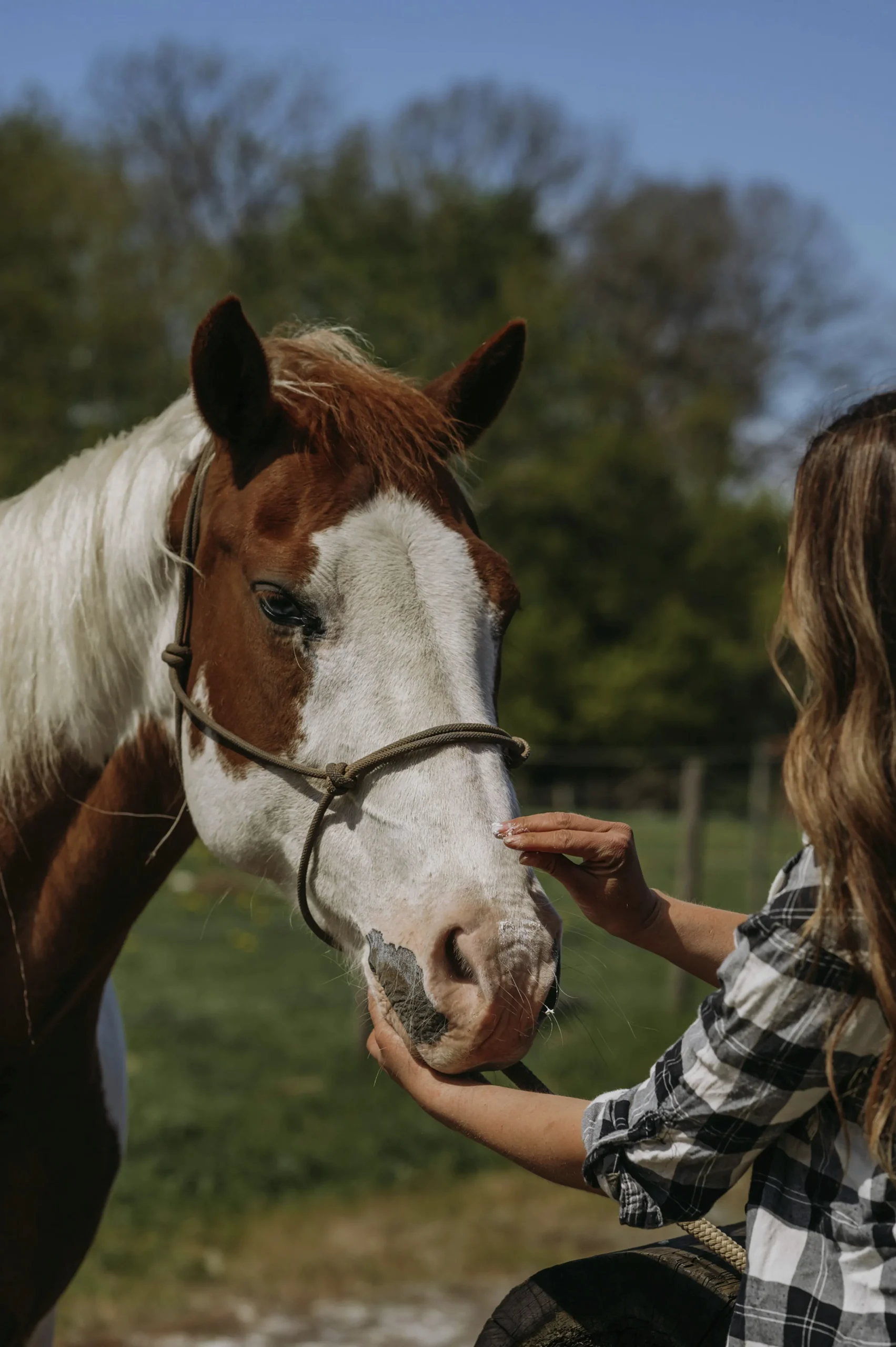 Zinksalva 150ml>Fair Horse Care Discount