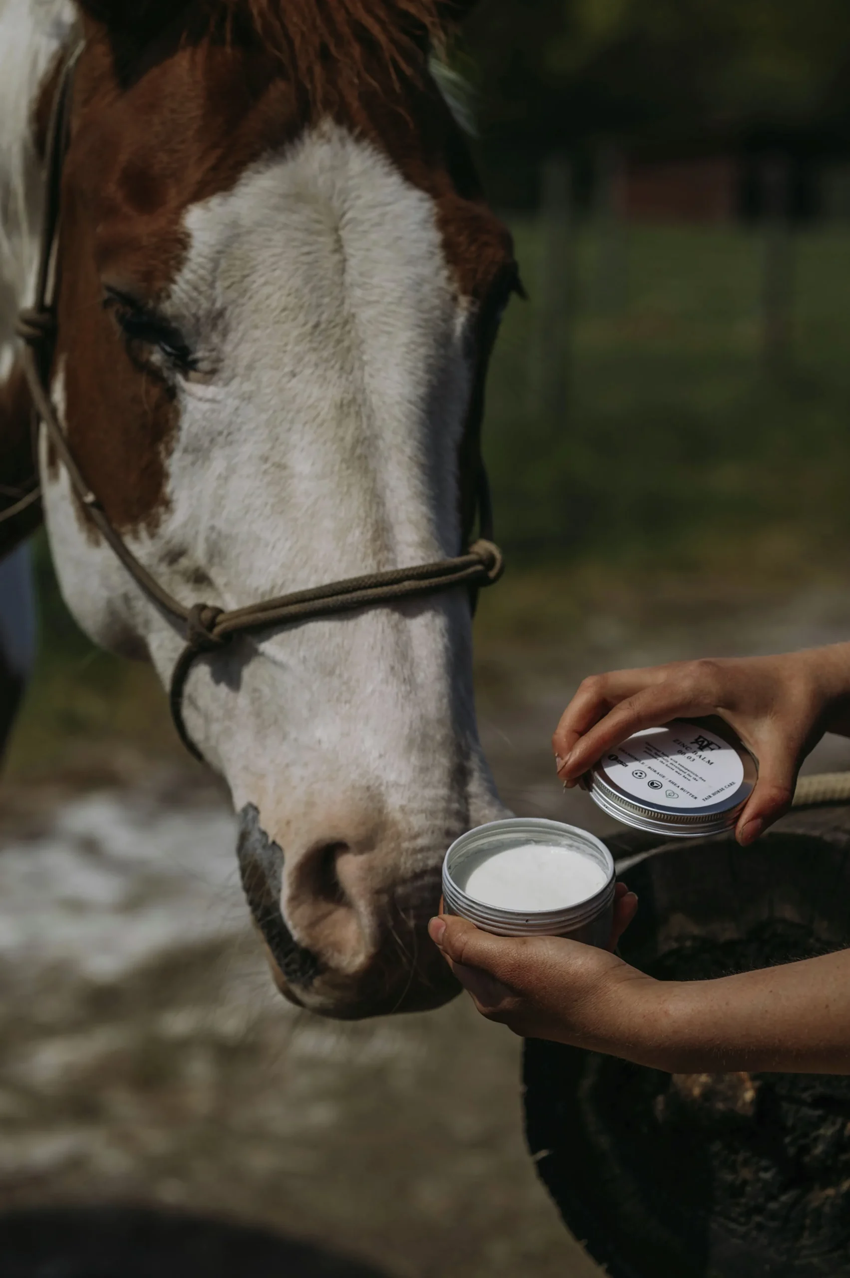 Zinksalva 150ml>Fair Horse Care Discount