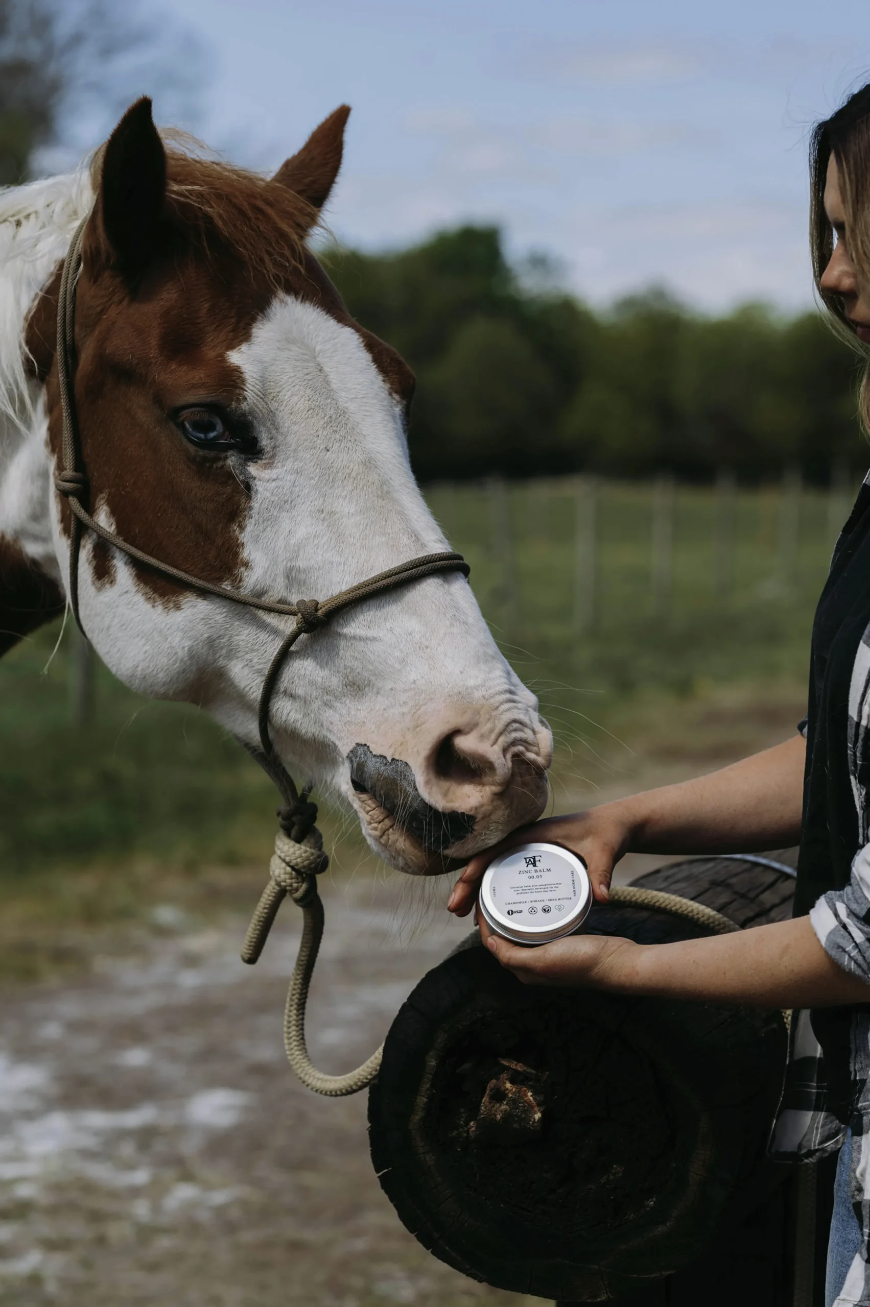 Zinksalva 150ml>Fair Horse Care Discount